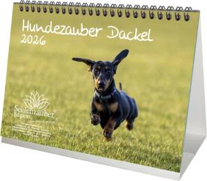 Seelenzauber Tischkalender Hundezauber Dackel DIN A5 Tischkalender für 2026 Welpen und Hunde