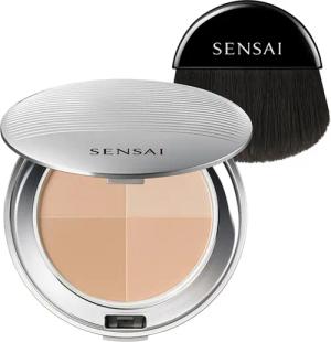 SENSAI CELLULAR PERFORMANCE