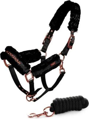 Set aus Halfter und Longiergurt für Pferde Equestrian Stockholm