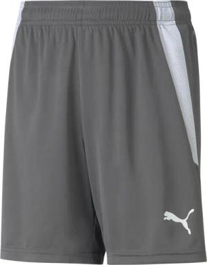 Shorts für Kinder Puma Team Liga