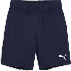 Shorts für Kinder Puma TeamGloal