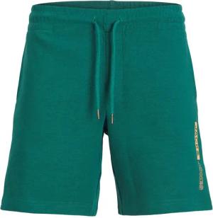 Shorts Jack & Jones Neo