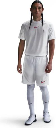Shorts Nike Academy