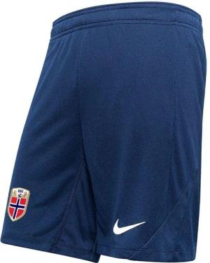 Shorts Nike Dri-FIT Strike 24