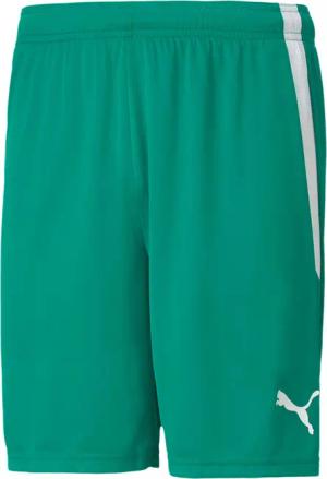 Shorts Puma Team Liga