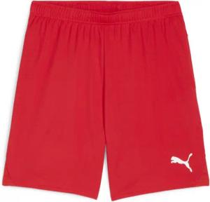Shorts Puma TeamGoal