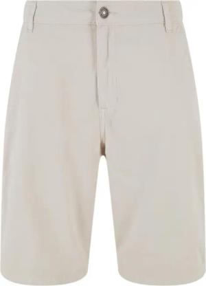 Shorts Urban Classics Skater