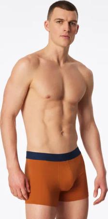 Shorts whisky - 95/5 8