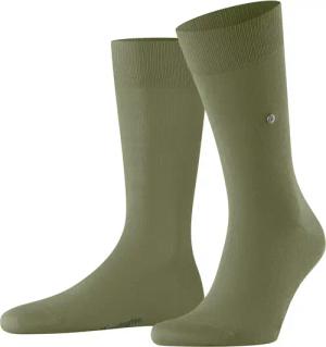 Socken Falke Burlington Lord