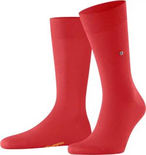 Socken Falke Burlington Lord