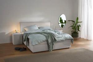 s.Oliver Boxbett "Alissia inkl. Bettkasten und Topper- frei im Raum stellbar" wahlweise mit Bonnell- oder TTFK-Matratze in H2, H3 o. H4 erhältlich