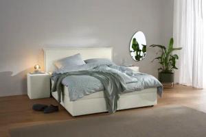 s.Oliver Boxbett "Alissia inkl. Bettkasten und Topper- frei im Raum stellbar" wahlweise mit Bonnell- oder TTFK-Matratze in H2, H3 o. H4 erhältlich