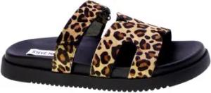 Steve Madden  Sandalen 92495