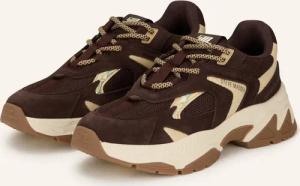 STEVE MADDEN Sneaker AMPLE