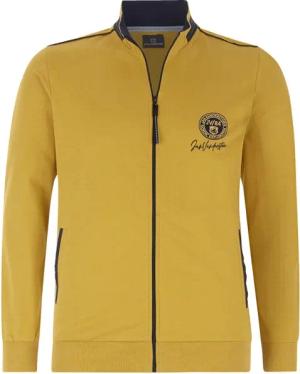 Sweatjacke ANDTARSEN dunkelgelb