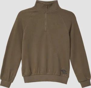 Sweatshirt mit Troyer-Kragen