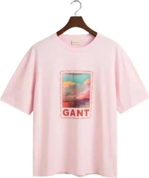 T-Shirt Gant Washed Graphic