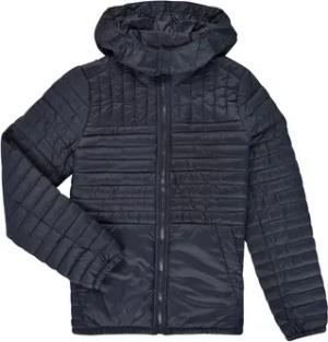 Teddy Smith  Kinder-Daunenjacken BLIGHT