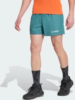 Terrex Multi Shorts