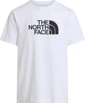 The North Face Herren Evolution Half Dome T-Shirt