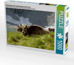 Tiroler Braunvieh wiederkäuend auf der Alm (Puzzle)