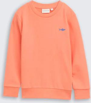 TOM TAILOR Jungen Basic Sweatshirt mit Print, orange, Uni, Gr. 104/110