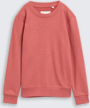 TOM TAILOR Jungen Basic Sweatshirt mit Print, rot, Uni, Gr. 176