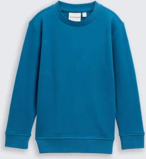 TOM TAILOR Jungen Basic Sweatshirt mit Rückenprint, grün, Uni, Gr. 116/122