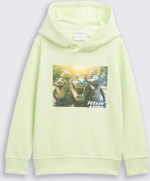 TOM TAILOR Jungen Hoodie Sweatshirt mit Print, grün, Uni, Gr. 92/98