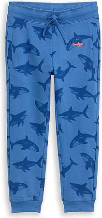 TOM TAILOR Jungen Hose blau | 104-110