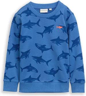 TOM TAILOR Jungen Sweater  blau | 104-110