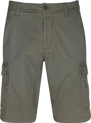 TOM TAILOR Shorts olive | 31
