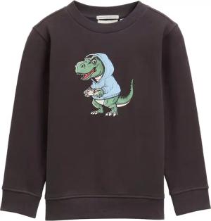 TOM TAILOR Sweater, mit Dino-Print