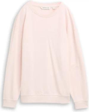 TOM TAILOR Sweatshirt, mit Rücken Print