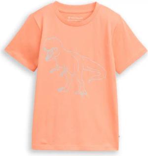 TOM TAILOR T-Shirt mit in der Nacht leuchtendem Dino-Print