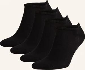 TOMMY HILFIGER 4er-Pack Sneakersocken