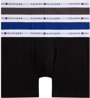 Tommy Hilfiger  Boxer UM0UM02941-0TU