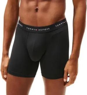 Tommy Hilfiger  Boxer UM0UM03618-0XK