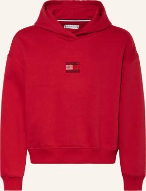 TOMMY HILFIGER Hoodie