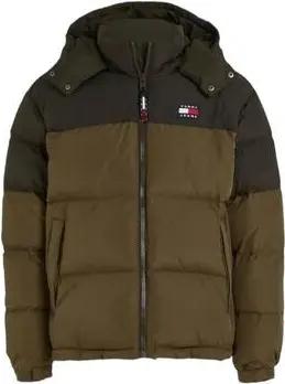 Tommy Hilfiger  Jacken DM0DM17482 MR1