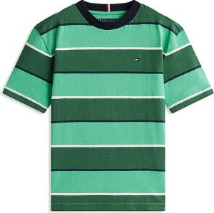 TOMMY HILFIGER Jungen T-Shirt grün | 164