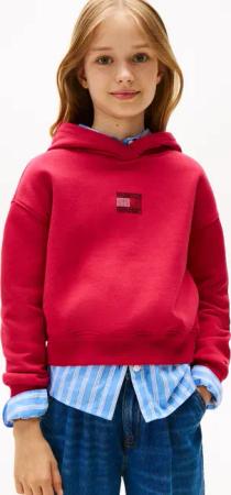 Tommy Hilfiger Kapuzensweatshirt "RHINE STONE FLAG HOODIE", Kinder bis 16 Jahre