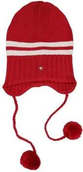 Tommy Hilfiger  Mütze AW0AW18311