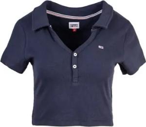 Tommy Hilfiger  Poloshirt DW0DW15322C87
