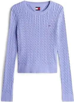 Tommy Hilfiger  Pullover DW0DW22165-C5Z