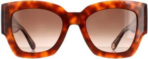 Tommy Hilfiger Square Womens Havanna Honey Brown Gradient TH 1862/S
