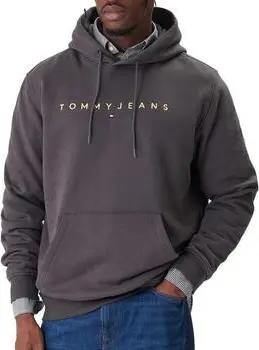 Tommy Hilfiger  Sweatshirt DM0DM20746-0GL
