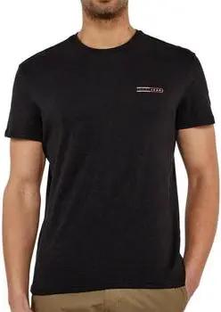 Tommy Hilfiger  T-Shirt DM0DM21303-BDS