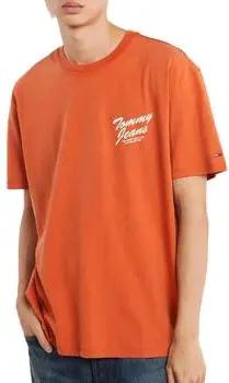 Tommy Hilfiger  T-Shirt DM0DM22060-SZZ