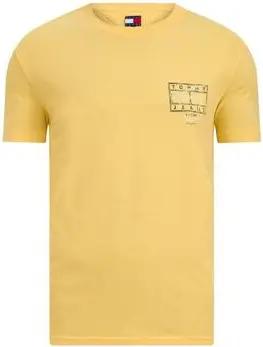 Tommy Hilfiger  T-Shirt DM0DM22319ZF0